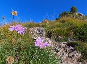 MONTE GIOCO (1366 m) da Spettino Alto di S. Pellegrino Terme il 19 settembre 2025 - FOTOGALLERY